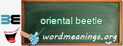 WordMeaning blackboard for oriental beetle